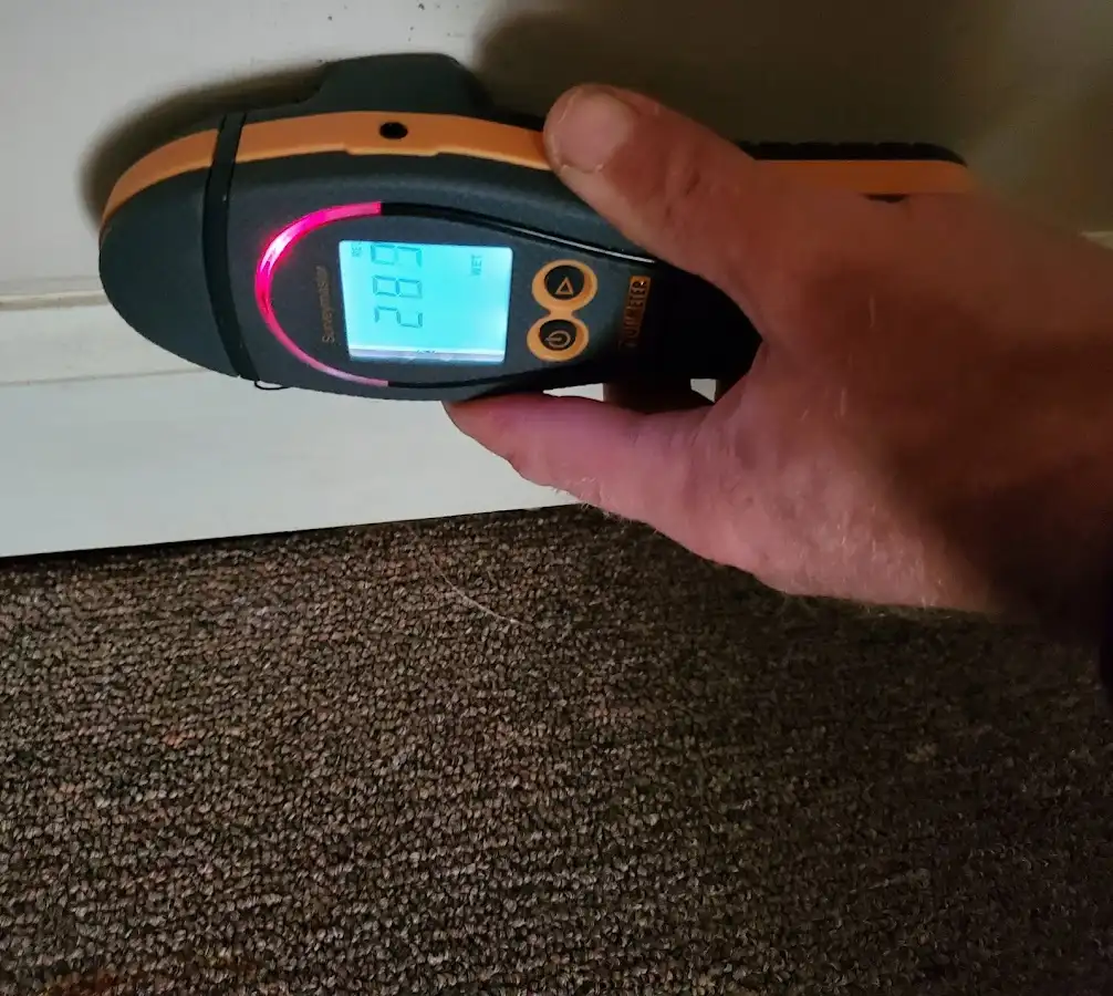 Moisture detection at baseboard during Sewage Cleanup & Sanitation in Mount Vernon